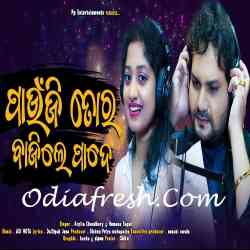 Paunji Tora Bajile Pade